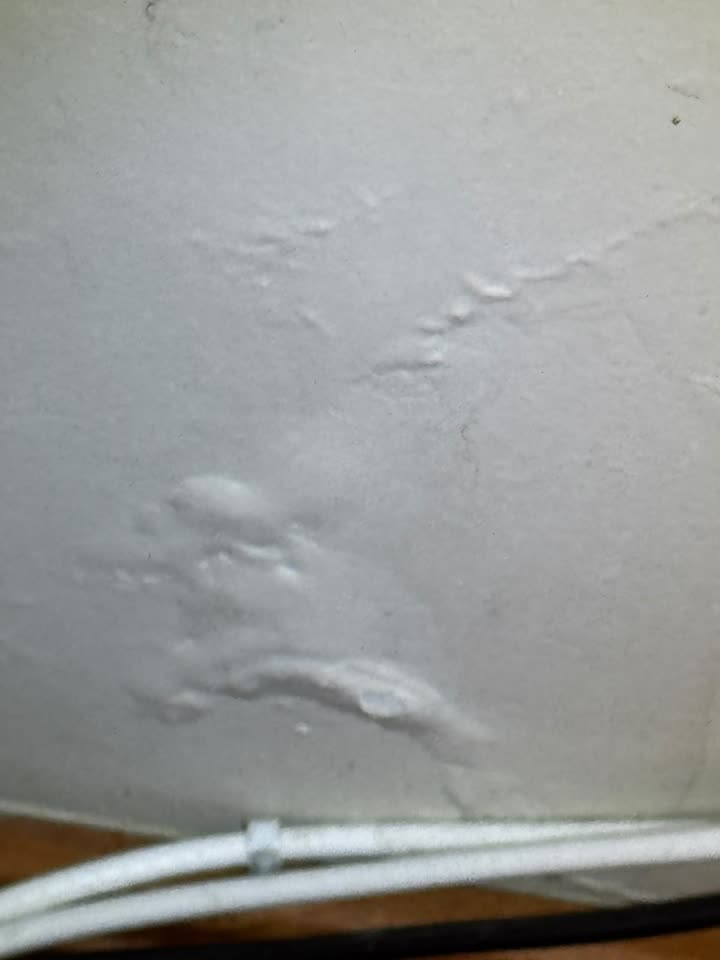 Muro con humedad y pintura soplada